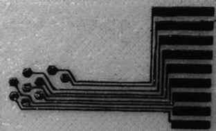 Graphical abstract: Conductive elastomer composites for fully polymeric, flexible bioelectronics