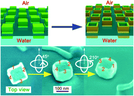 Graphical abstract: Asymmetrical etching of Ag nanoparticles into symmetry-reduced bi-metallic nanocups at the single-nanoparticle level