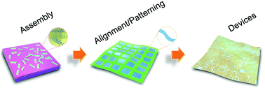 Graphical abstract: Organic crystalline materials in flexible electronics