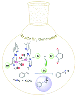 Graphical abstract: A bromo-capped diruthenium(i,i) N-heterocyclic carbene compound for in situ bromine generation with NBS: catalytic olefin aziridination reactions