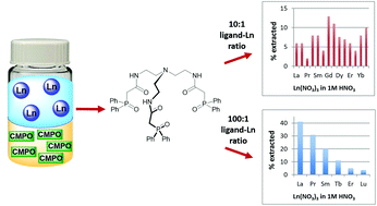 Graphical abstract: Lanthanide extraction selectivity of a tripodal carbamoylmethylphosphine oxide ligand system