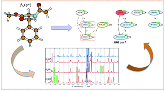 Graphical abstract: Conformational assignment of gas phase peptides and their H-bonded complexes using far-IR/THz: IR-UV ion dip experiment, DFT-MD spectroscopy, and graph theory for mode assignment