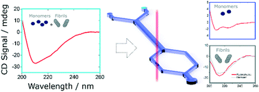 Graphical abstract: Resolving protein mixtures using microfluidic diffusional sizing combined with synchrotron radiation circular dichroism