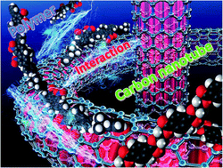 Graphical abstract: A review of the interfacial characteristics of polymer nanocomposites containing carbon nanotubes