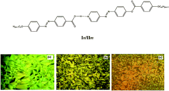 Graphical abstract: Mesophase behavior of new linear supramolecular hydrogen-bonding complexes