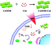 Graphical abstract: A GSH-responsive nanophotosensitizer for efficient photodynamic therapy