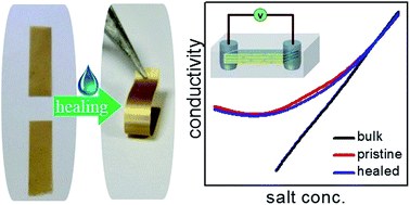 Graphical abstract: Intercalating cation specific self-repairing of vermiculite nanofluidic membrane