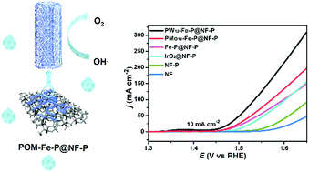 Graphical abstract: Phosphorized polyoxometalate-etched iron-hydroxide porous nanotubes for efficient electrocatalytic oxygen evolution