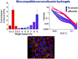 Graphical abstract: Elastic serum-albumin based hydrogels: mechanism of formation and application in cardiac tissue engineering