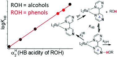 Graphical abstract: Hydrogen bonding between hydroxylic donors and MLCT-excited Ru(bpy)2(bpz)2+ complex: implications for photoinduced electron–proton transfer