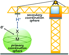 Graphical abstract: Promoting proton coupled electron transfer in redox catalysts through molecular design