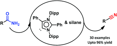Graphical abstract: NHC-catalyzed silylative dehydration of primary amides to nitriles at room temperature