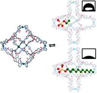 Graphical abstract: Molecular balloon, Pd6L8 cages: recognition of alkyl sulfate surfactants