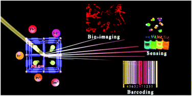 Graphical abstract: Near-infrared-emissive metal–organic frameworks