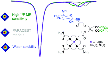 Graphical abstract: Highly fluorinated metal complexes as dual 19F and PARACEST imaging agents