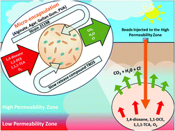 Graphical abstract: Co-encapsulation of slow release compounds and Rhodococcus rhodochrous ATCC 21198 in gellan gum beads to promote the long-term aerobic cometabolic transformation of 1,1,1-trichloroethane, cis-1,2-dichloroethene and 1,4-dioxane