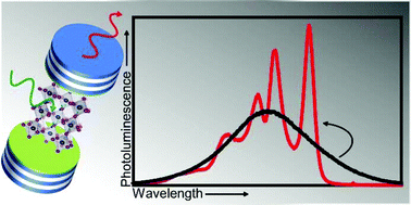 Graphical abstract: All-polymer methylammonium lead iodide perovskite microcavities