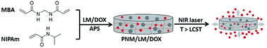 Graphical abstract: NIR laser-responsive liquid metal-loaded polymeric hydrogels for controlled release of doxorubicin
