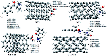 Graphical abstract: A molecular approach on the ability of functionalized single walled carbon nanotube for cathinone sensing