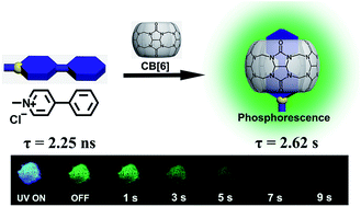 Graphical abstract: Ultralong room-temperature phosphorescence of a solid-state supramolecule between phenylmethylpyridinium and cucurbit[6]uril