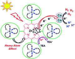 Graphical abstract: Iridium motif linked porphyrins for efficient light-driven hydrogen evolution via triplet state stabilization of porphyrin