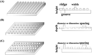 Graphical abstract: Topographical patterning: characteristics of current processing techniques, controllable effects on material properties and co-cultured cell fate, updated applications in tissue engineering, and improvement strategies