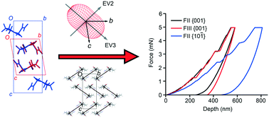 Graphical abstract: Structure–property correlations in piracetam polytypes