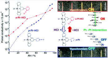 Graphical abstract: Cooperative phenomenon of vapochromism and proton conduction of luminescent Pt(ii) complexes for the visualisation of proton conductivity