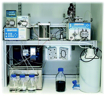 Graphical abstract: Continuously manufactured single-core iron oxide nanoparticles for cancer theranostics as valuable contribution in translational research