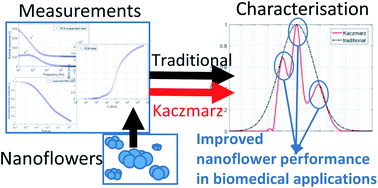 Graphical abstract: Advanced analysis of magnetic nanoflower measurements to leverage their use in biomedicine