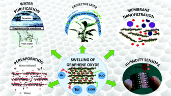 Graphical abstract: Swelling properties of graphite oxides and graphene oxide multilayered materials