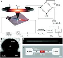 Graphical abstract: Spatially resolved thermoelectric effects in operando semiconductor–metal nanowire heterostructures