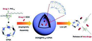 Graphical abstract: Supramolecular combination chemotherapy: a pH-responsive co-encapsulation drug delivery system