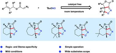 Graphical abstract: Acyclic nitronate olefin cycloaddition (ANOC): regio- and stereospecific synthesis of isoxazolines