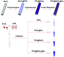 Graphical abstract: Fabrication of noble metal nanoparticles decorated on one dimensional hierarchical polypyrrole@MoS2 microtubes