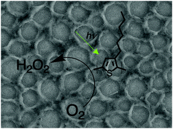 Graphical abstract: Tuning photoelectrochemical performance of poly(3-hexylthiophene) electrodes via surface structuring