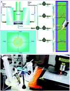 Graphical abstract: Simultaneous extraction and surface enhanced Raman spectroscopy detection for the rapid and reliable identification of nicotine released from snus products