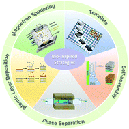 Graphical abstract: Bio-inspired structural colors and their applications