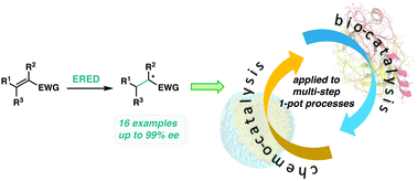 Graphical abstract: Nanomicelle-enhanced, asymmetric ERED-catalyzed reductions of activated olefins. Applications to 1-pot chemo- and bio-catalysis sequences in water