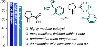 Graphical abstract: Secondary-sphere modification in proline catalysis: old friend, new connection