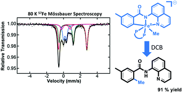 Graphical abstract: Intermediates and mechanism in iron-catalyzed C–H methylation with trimethylaluminum