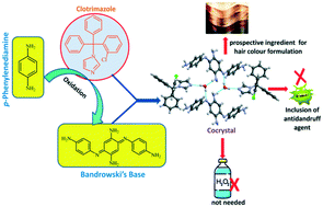 Graphical abstract: Cocrystal hydrate of Bandrowski's base and clotrimazole: a prospective ingredient for hair dye formulations