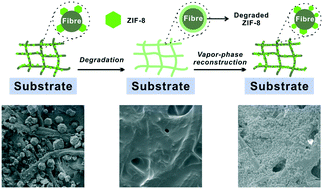 Graphical abstract: In situ reconstruction of ZIF-8 loaded on fibrous supports