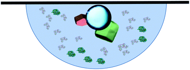 Graphical abstract: Protein crystallisation with air bubble templates: case of gas–liquid–solid interfaces