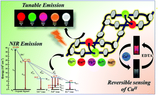 Graphical abstract: Multicolour lanthanide(iii) porous 1D coordination polymers: tunable wide spectrum emission and efficient CuII sensing