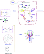 Graphical abstract: An overview on the investigation of nanomaterials' effect on plasma components: immunoglobulins and coagulation factor VIII, 2010–2020 review