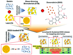 Graphical abstract: pH-Responsive doxorubicin delivery using shear-thinning biomaterials for localized melanoma treatment