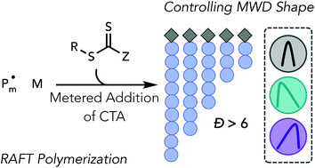 Graphical abstract: Achieving molecular weight distribution shape control and broad dispersities using RAFT polymerizations