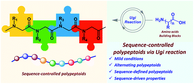 Graphical abstract: Sequence-controlled and sequence-defined polypeptoids via the Ugi reaction: synthesis and sequence-driven properties