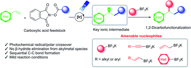 Graphical abstract: Photoinduced 1,2-dicarbofunctionalization of alkenes with organotrifluoroborate nucleophiles via radical/polar crossover